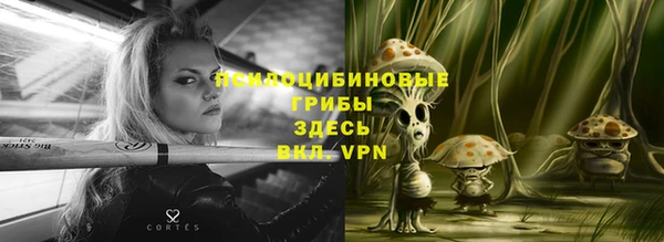 прущая мука Инсар