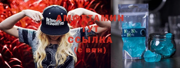 прущая мука Инсар