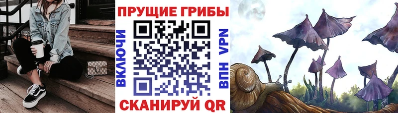 цены наркотик  shop телеграм  Галлюциногенные грибы мицелий  Бузулук  mega сайт 