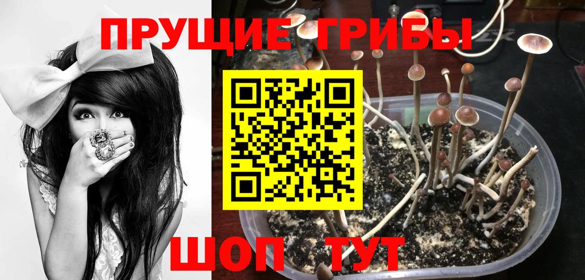 Псилоцибиновые грибы ЛСД Бузулук