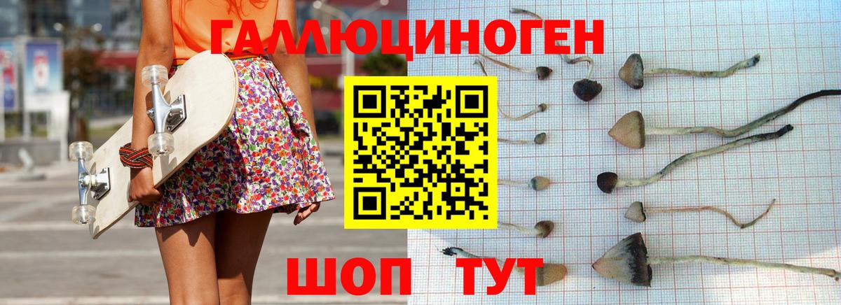 Галлюциногенные грибы Cubensis  Галлюциногенные грибы мицелий  Вход с VPN  Бузулук 